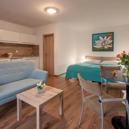 Tereza & Free Parking Apartman Pozsony