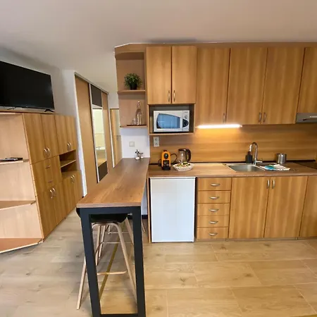 Tereza & Free Parking Apartment Pressburg