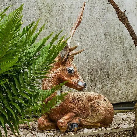 Tereza & Free Parking Lägenhet Bratislava